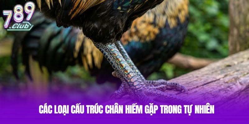 Các loại cấu trúc chân hiếm gặp trong tự nhiên