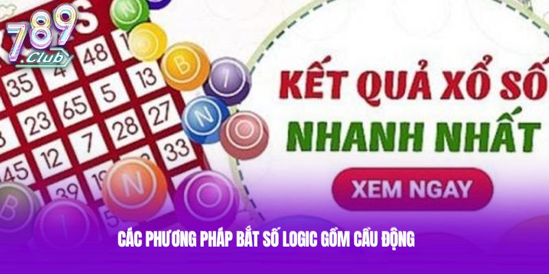 Các phương pháp bắt số logic gồm cầu động