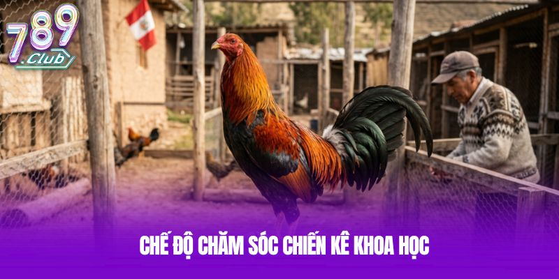 Chế độ chăm sóc chiến kê khoa học