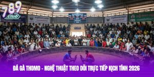 Đá Gà Thomo - Nghệ Thuật Theo Dõi Trực Tiếp Kịch Tính 2026