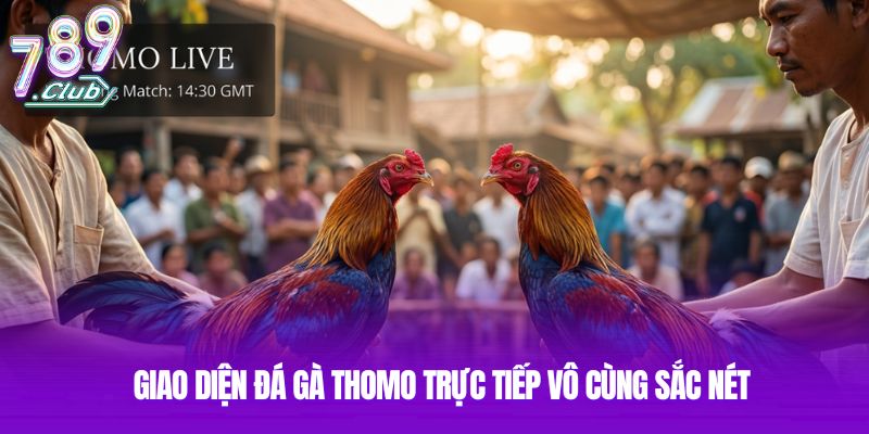 Giao diện đá gà Thomo trực tiếp vô cùng sắc nét