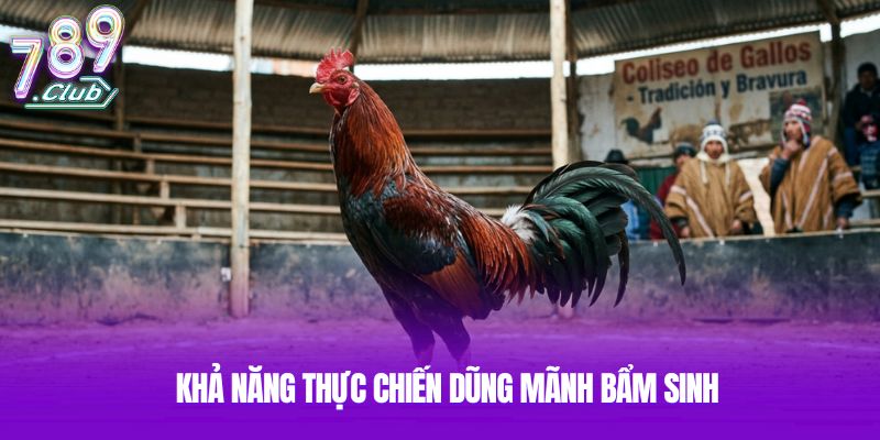 Khả năng thực chiến dũng mãnh bẩm sinh