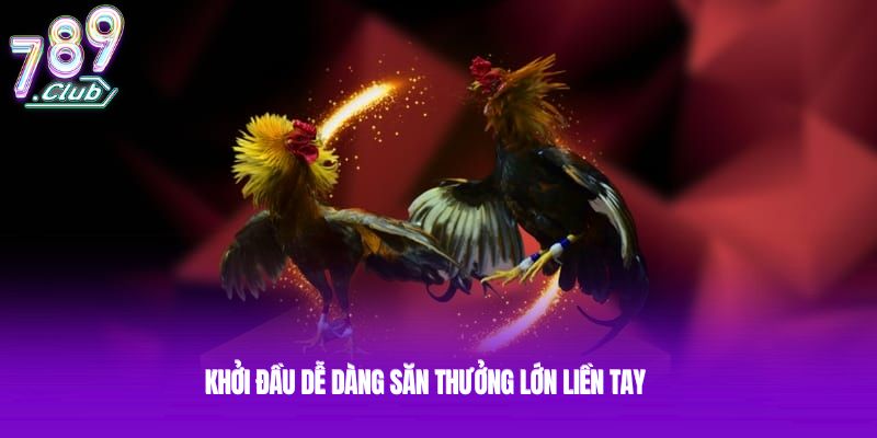 Khởi đầu dễ dàng săn thưởng lớn liền tay Khởi đầu dễ dàng săn thưởng lớn liền tay