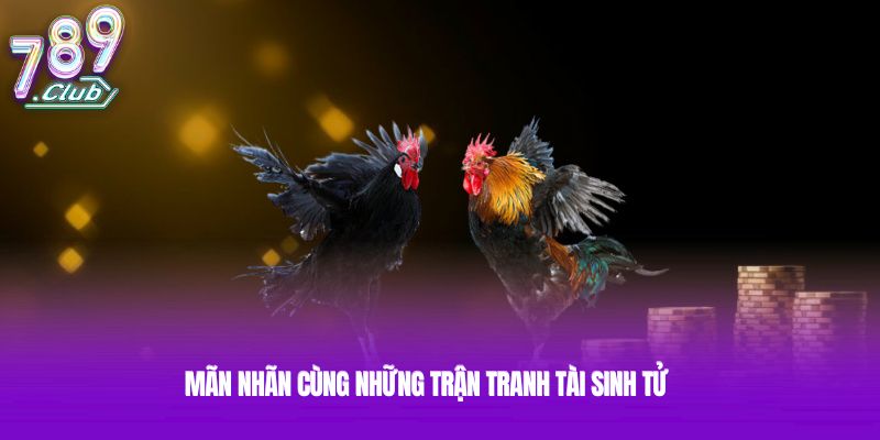 Mãn nhãn cùng những trận tranh tài sinh tử Mãn nhãn cùng những trận tranh tài sinh tử