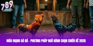 Màu Mạng Gà Đá - Phương Pháp Ngũ Hành Chọn Chiến Kê 2026