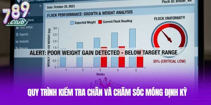 Quy trình kiểm tra chân và chăm sóc móng định kỳ