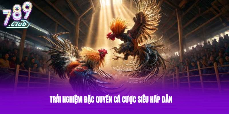 Trải nghiệm đặc quyền cá cược siêu hấp dẫn Trải nghiệm đặc quyền cá cược siêu hấp dẫn
