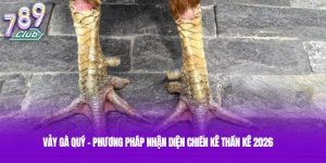 Vảy Gà Quý - Phương Pháp Nhận Diện Chiến Kê Thần Kê 2026